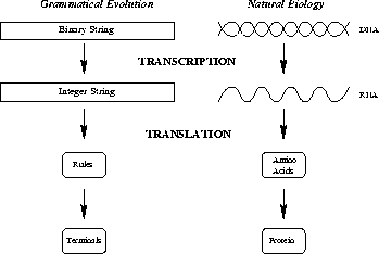 \begin{figure}
\center
\leavevmode
\epsfxsize 0.9\colwidth %
\epsfbox{ge_v_bio.eps}
\end{figure}