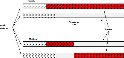 \begin{figure}
\psfig{file=crossover2.eps,height=1.7in}
\end{figure}